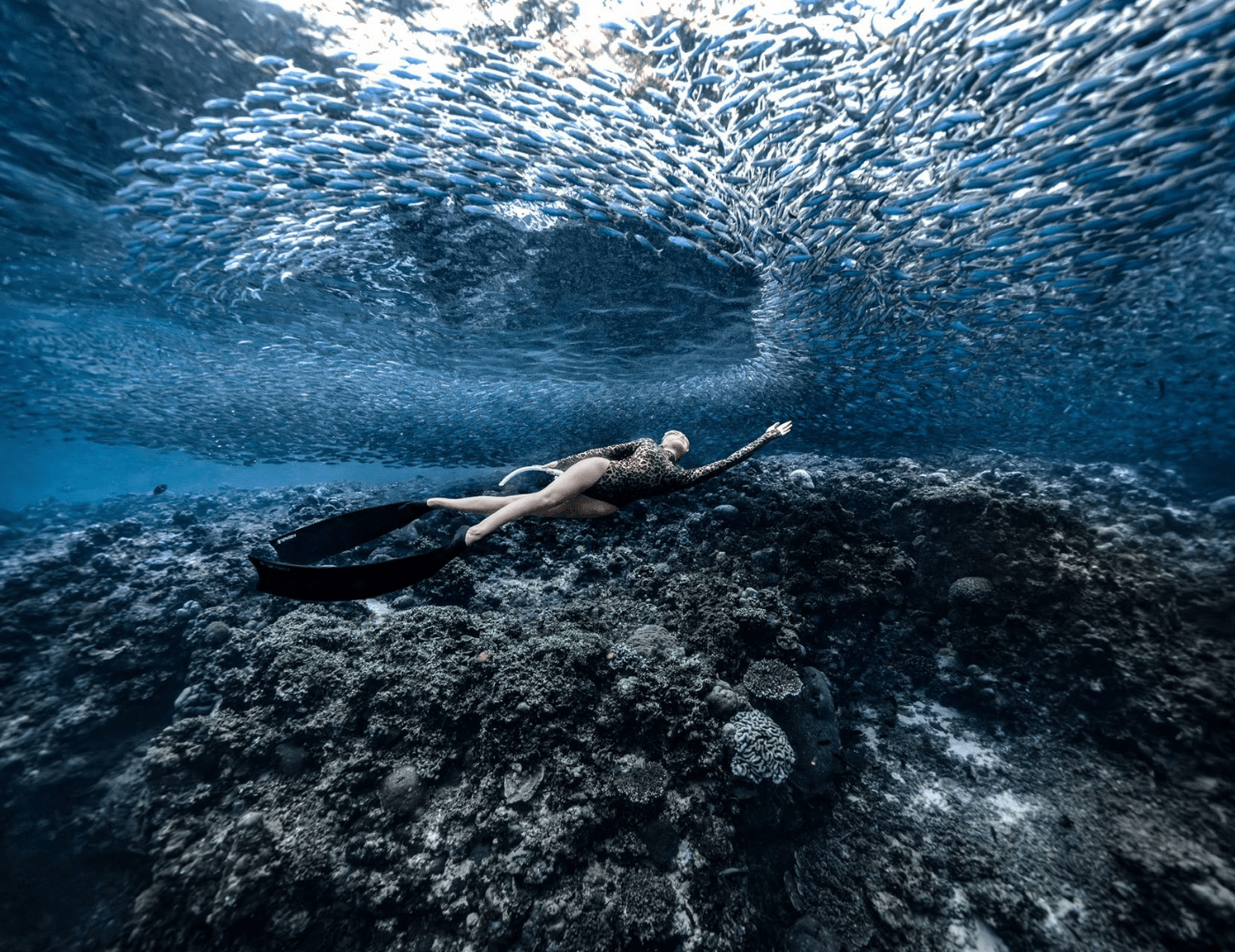 mermaid swimming in the sea with fishes