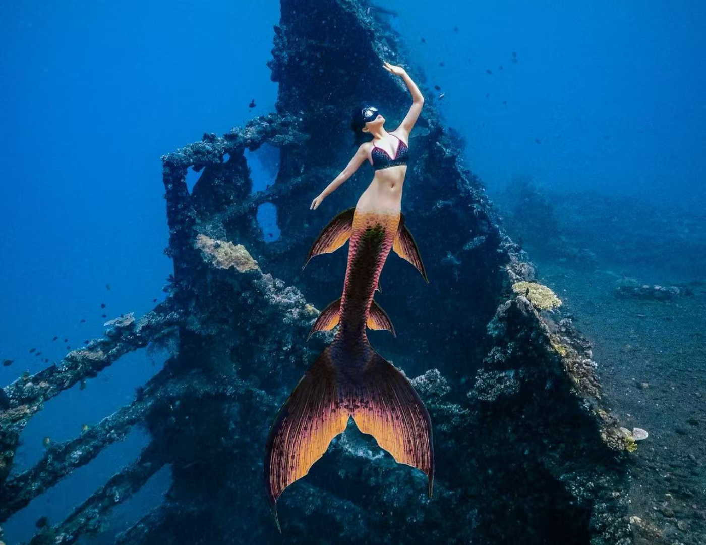 mermaid swimming in the sea