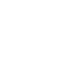 vitruvian man